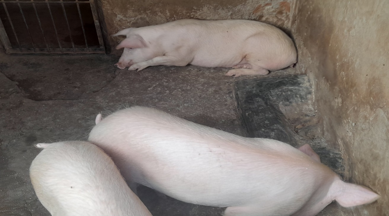 IMG_20260101_094822657