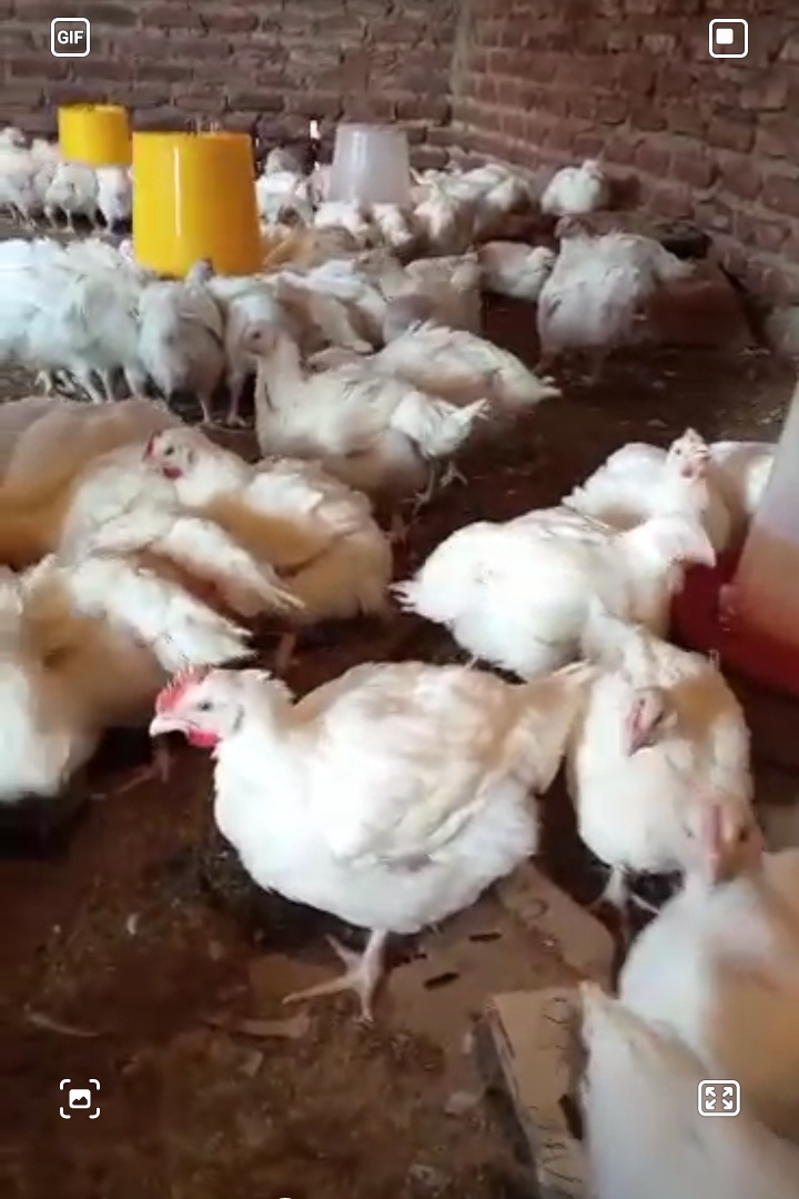 1771749754_c17e924354